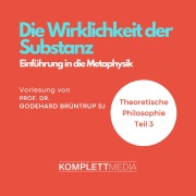 Cover-Bild zum Titel 'Die Wirklichkeit der Substanz' von 'Godehard Brüntrup'