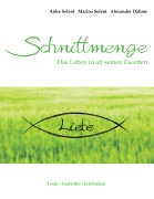Cover-Bild zum Titel 'Schnittmenge Liebe' von ''