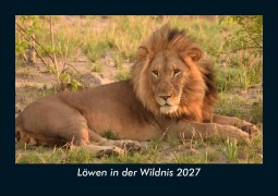 Cover-Bild zum Titel 'Löwen in der Wildnis 2027 Fotokalender DIN A5' von 'Tobias Schmitt, Kevin Heber'