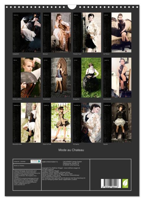 InsideView 5