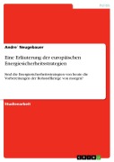 Cover-Bild zum Titel 'Eine Erläuterung der europäischen Energiesicherheitsstrategien' von 'Andre¿ Neugebauer'