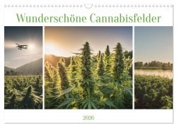Cover-Bild zum Titel 'Wunderschöne Cannabisfelder (Wandkalender 2026 DIN A3 quer), CALVENDO Monatskalender' von 'Stanley Hinz'
