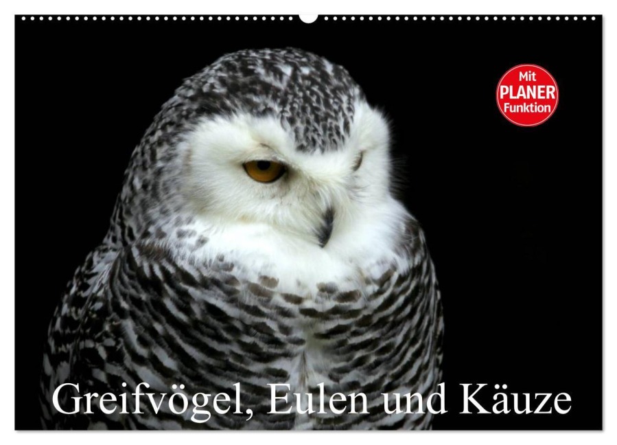 Greifvögel, Eulen und Käuze (Wandkalender 2026 DIN A2 quer), CALVENDO Monatskalender - Arno Klatt