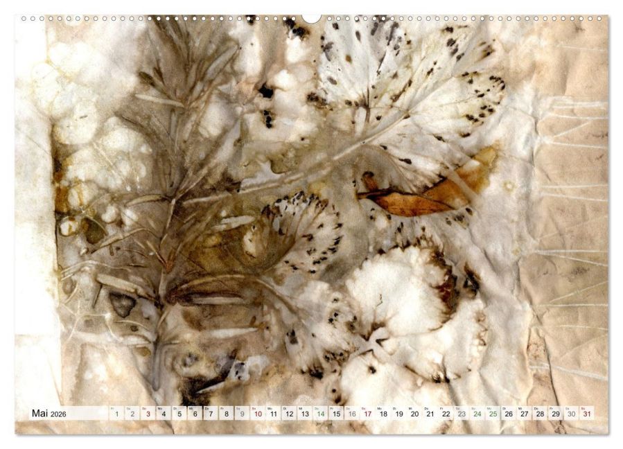 InsideView 10