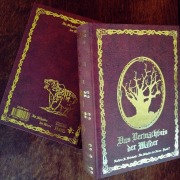 Cover-Bild zum Titel 'Im Schatten der Hexen VII' von 'Kathrin R. Hotowetz'