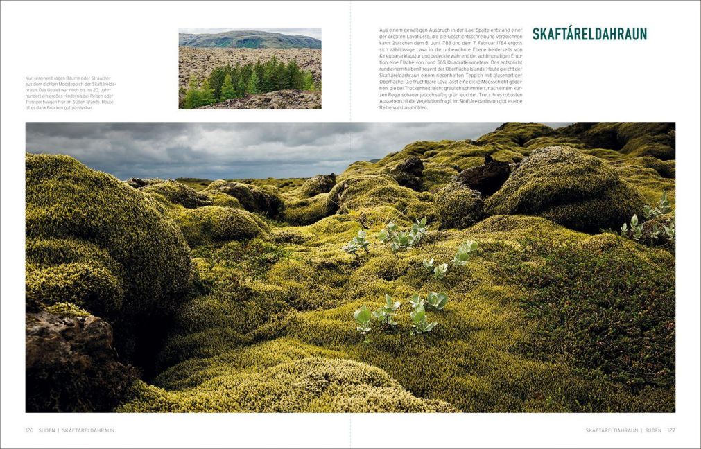 InsideView 8