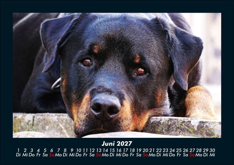 InsideView 10