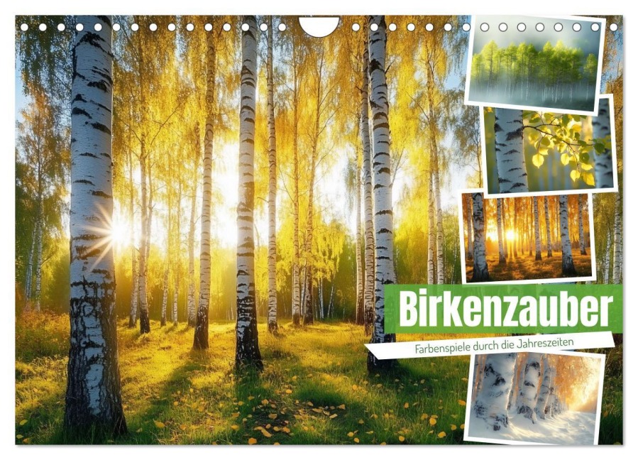 Birkenzauber (Wandkalender 2026 DIN A4 quer), CALVENDO Monatskalender - Steffen Gierok-Latniak