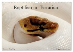 Cover-Bild zum Titel 'REPTILIEN IM TERRARIUM (Wandkalender 2026 DIN A3 quer), CALVENDO Monatskalender' von 'Benny Trapp'