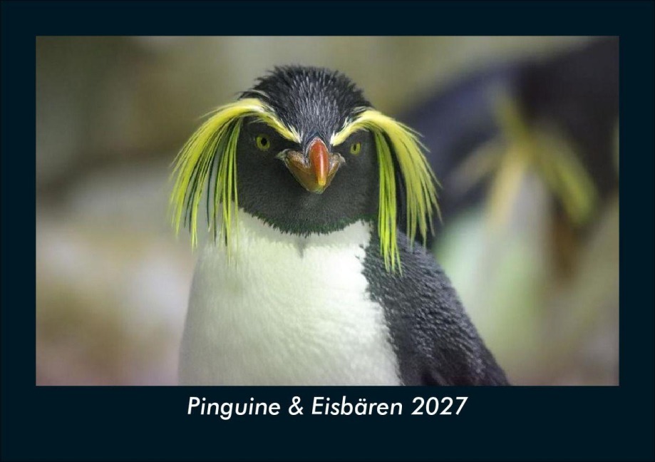 Pinguine & Eisbären 2027 Fotokalender DIN A5 - Tobias Schmitt, Kevin Heber