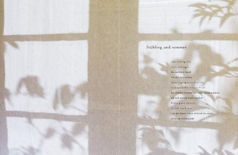 InsideView 4