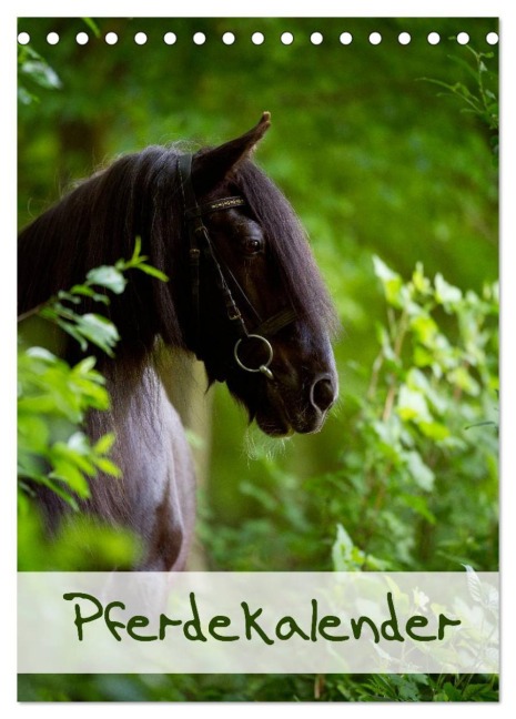Pferdekalender (Tischkalender 2026 DIN A5 hoch), CALVENDO Monatskalender - Nicole Noack