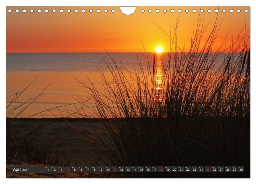 InsideView 9