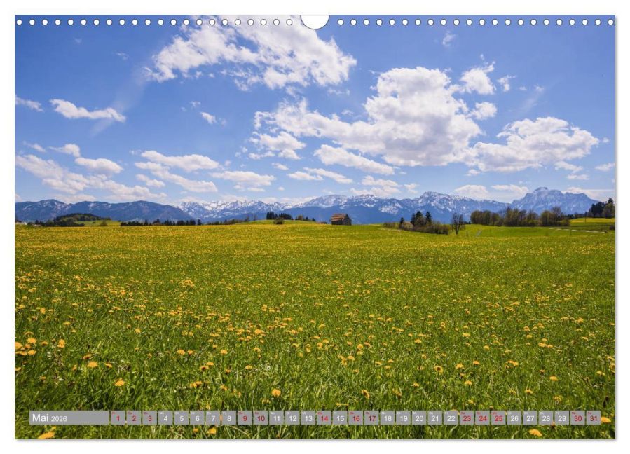 InsideView 10