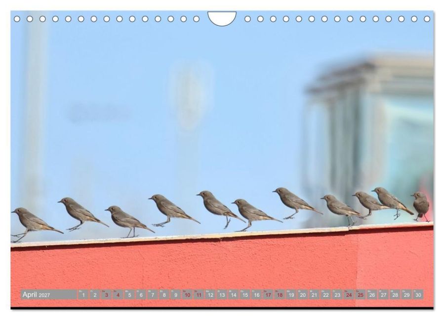InsideView 9
