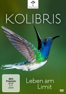 Kolibris - Leben am Limit - Paul Reddish, Markus Pöchinger