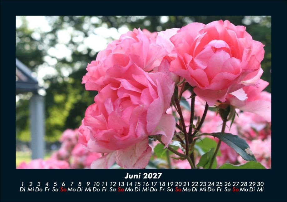 InsideView 10