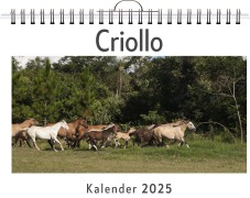 Cover-Bild zum Titel 'Criollo' von 'Sophia Maier'