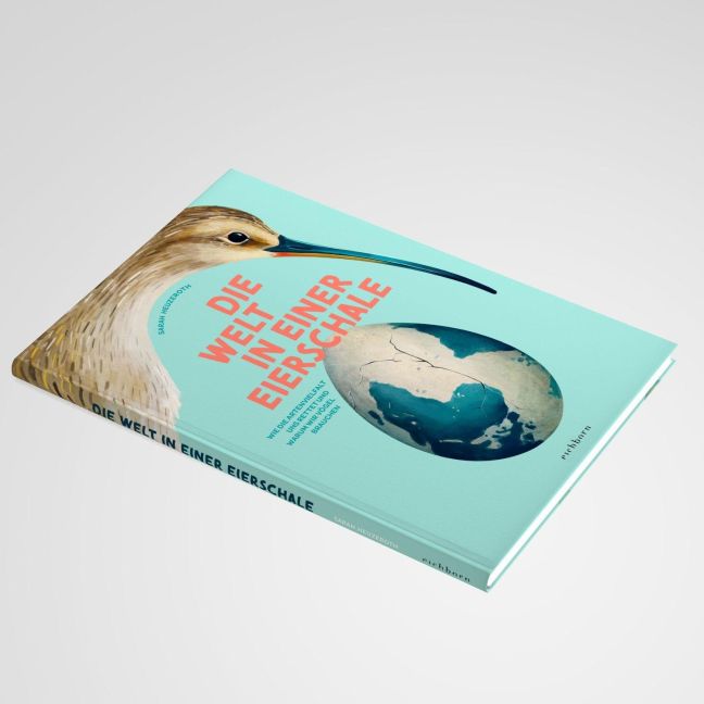 InsideView 13