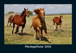 Cover-Bild zum Titel 'Pferdegeflüster 2026 Fotokalender DIN A5' von 'Tobias Becker'