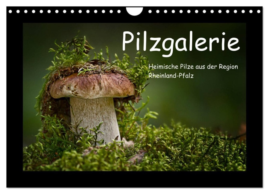 Pilzgalerie - Heimische Pilze aus der Region Rheinland-Pfalz (Wandkalender 2025 DIN A4 quer), CALVENDO Monatskalender - Beate Wurster