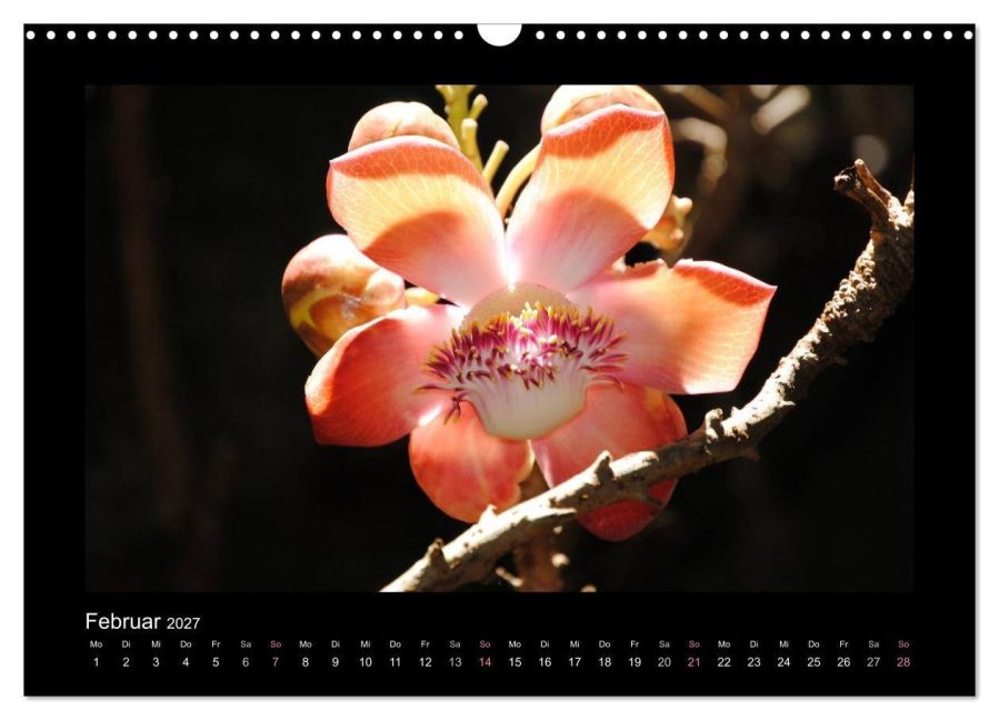 InsideView 7