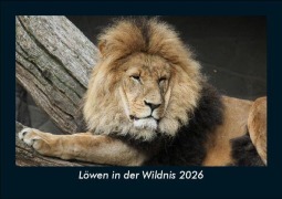 Cover-Bild zum Titel 'Löwen in der Wildnis 2026 Fotokalender DIN A5' von 'Tobias Becker'