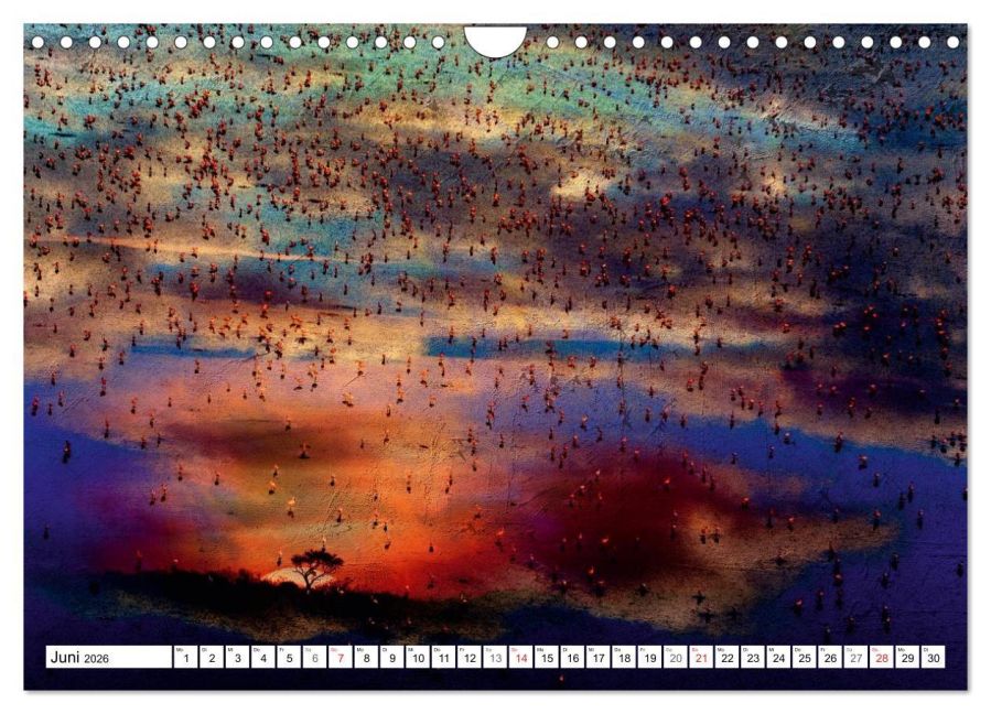 InsideView 11