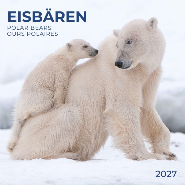 Eisbären / Polar Bears 2027 - 