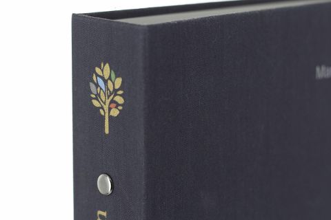 InsideView 11