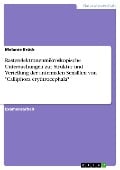 Rasterelektronenmikroskopische Untersuchungen zur Struktur und Verteilung der antennalen Sensillen von "Calliphora erythrocephala" - Melanie Brück