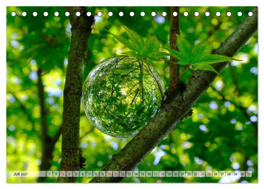 InsideView 12