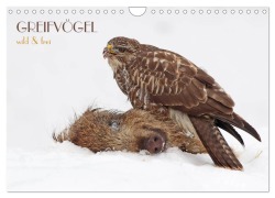 Cover-Bild zum Titel 'GREIFVÖGEL wild & frei (Wandkalender 2026 DIN A4 quer), CALVENDO Monatskalender' von 'Wolfgang Brandmeier'