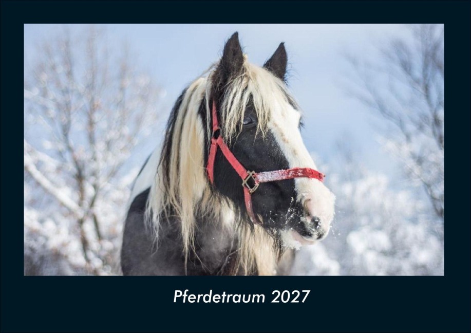 Pferdetraum 2027 Fotokalender DIN A4 - Tobias Schmitt, Kevin Heber