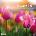 Blumen 2025 - 