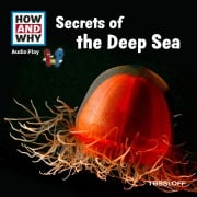 Secrets Of The Deep Sea - Manfred Baur, Nils Bergholz, Valentin Boomes, Chillheimer, Christo