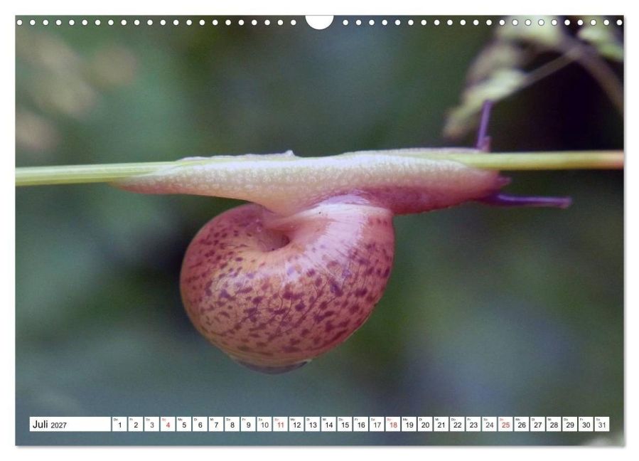 InsideView 12