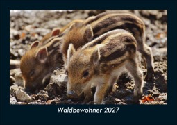 Cover-Bild zum Titel 'Waldbewohner 2027 Fotokalender DIN A5' von 'Tobias Schmitt, Kevin Heber'