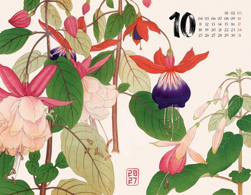 InsideView 10
