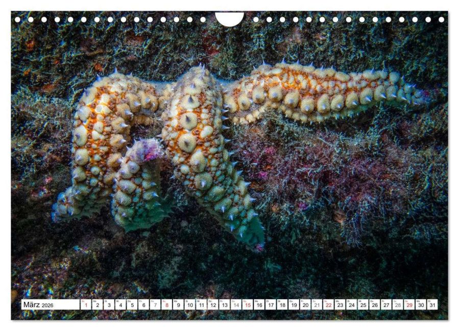 InsideView 8