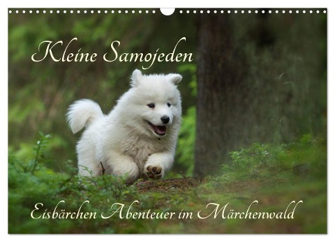 Kleine Samojeden - Eisbärchen Abenteuer im Märchenwald (Wandkalender 2024 DIN A3 quer), CALVENDO Monatskalender - Claudia Pelzer www. Pelzer-Photography. com