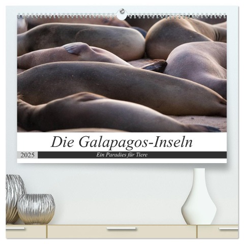 Galapagos-Inseln - Ein Paradies für Tiere (hochwertiger Premium Wandkalender 2025 DIN A2 quer), Kunstdruck in Hochglanz - Jeanette Dobrindt