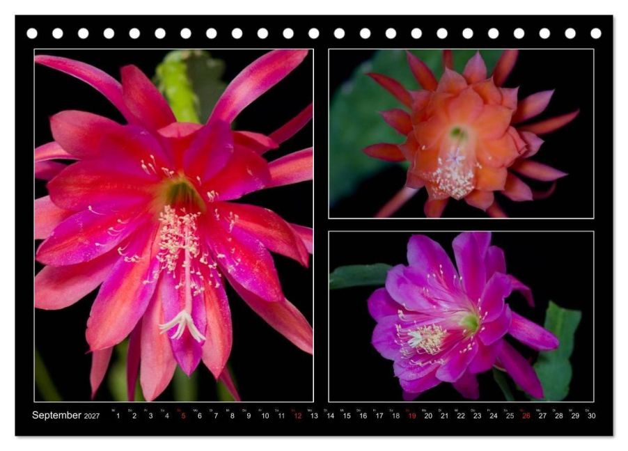 InsideView 14