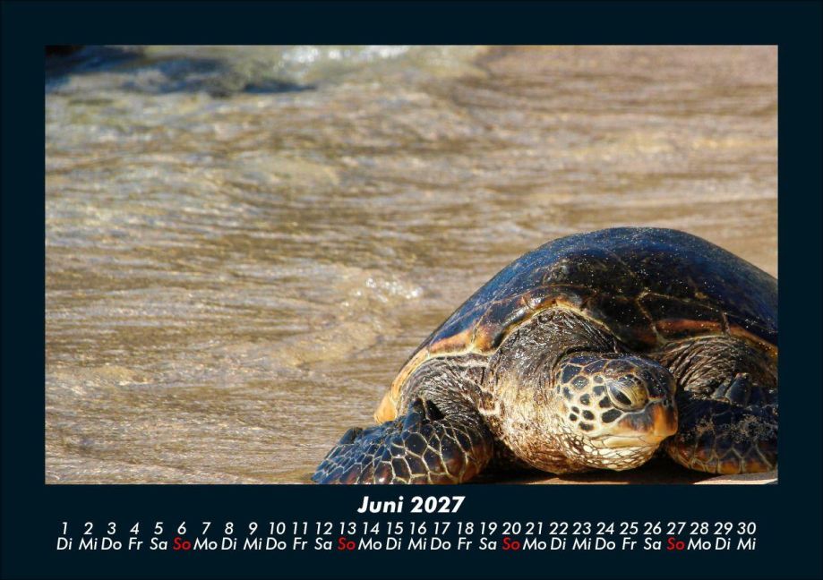 InsideView 10