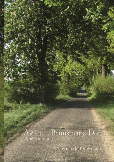 Asphalt. Brunsmark. Dom - Fernando Offermann