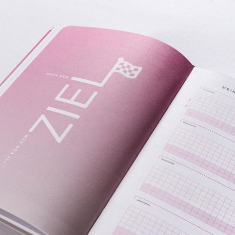 InsideView 5