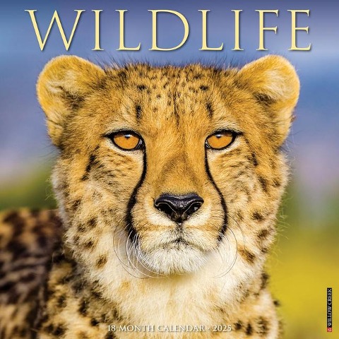 Wildlife 2025 12 X 12 Wall Calendar - Willow Creek Press