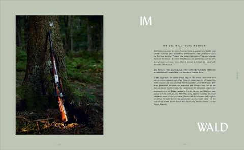 InsideView 5