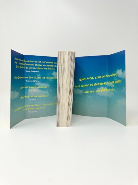 InsideView 6