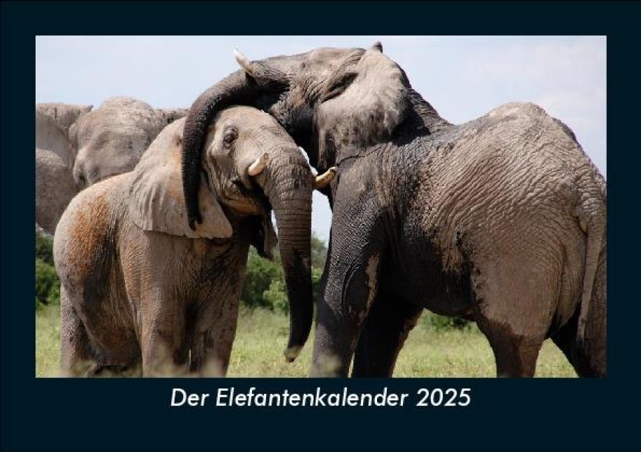 Der Elefantenkalender 2025 Fotokalender DIN A5 - Tobias Becker